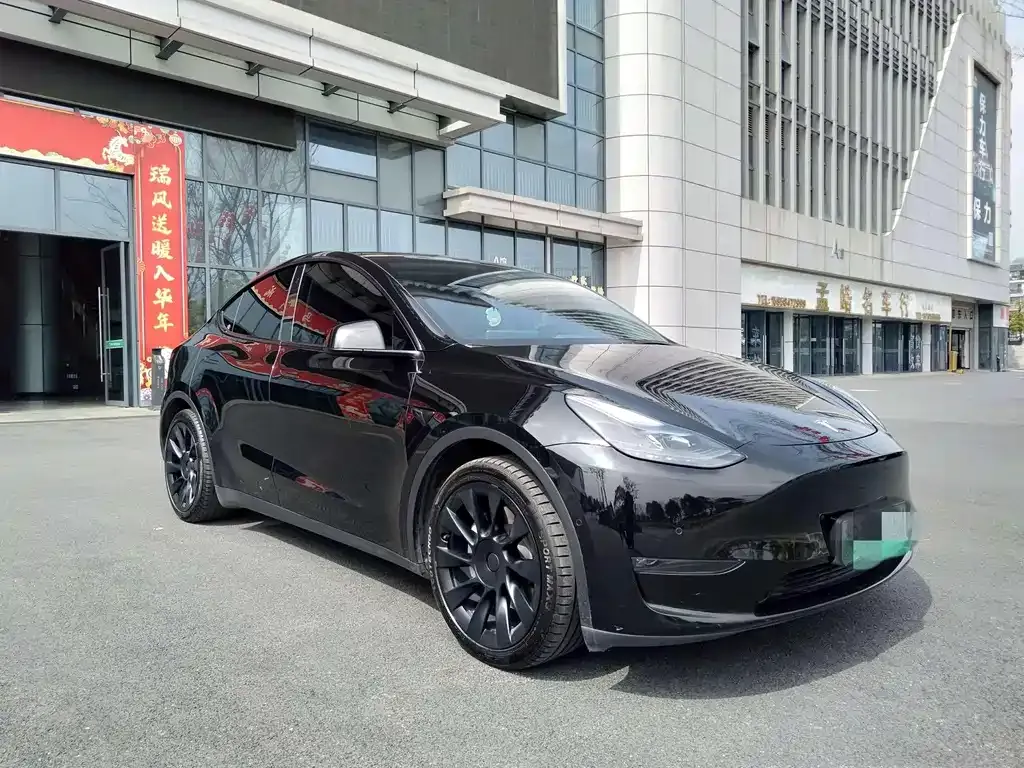 Tesla Model Y — фото 7