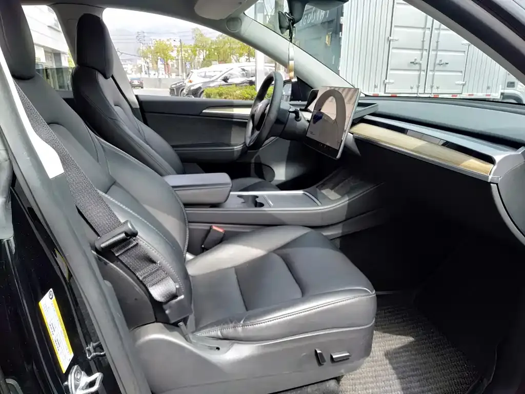 Tesla Model Y — фото 10