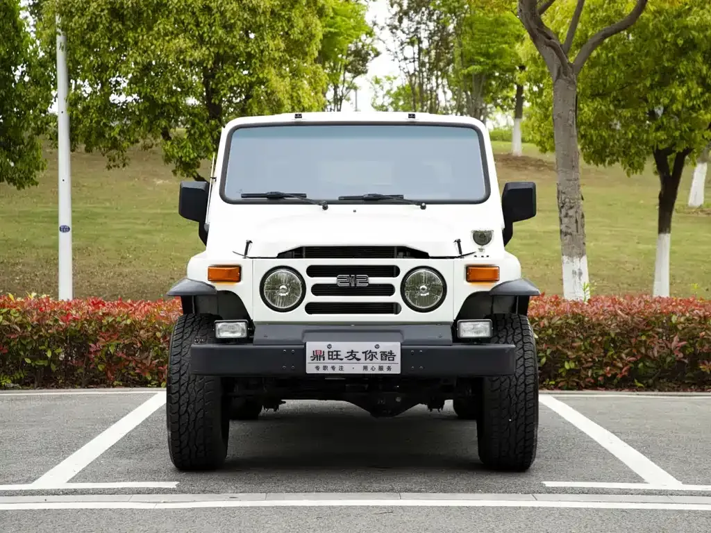 BAW 212 Classic 2023 из CN, фото 4