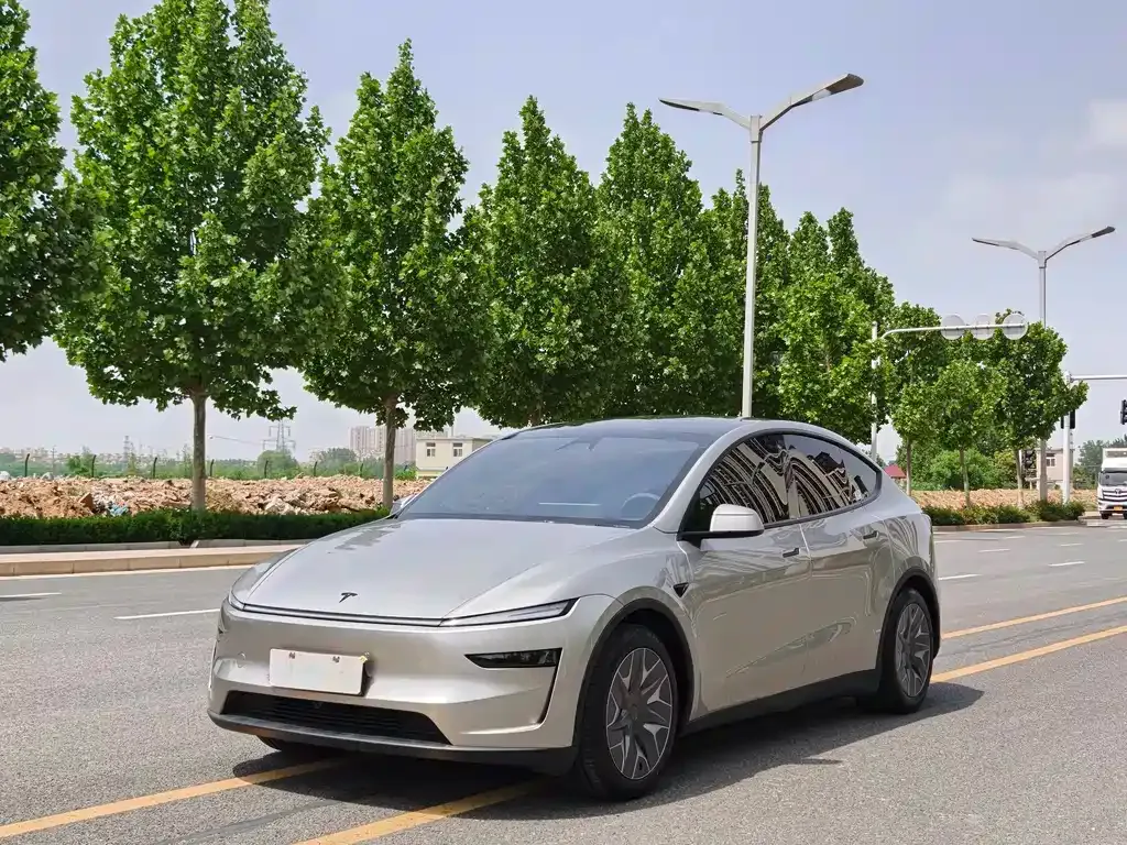 Tesla Model Y L