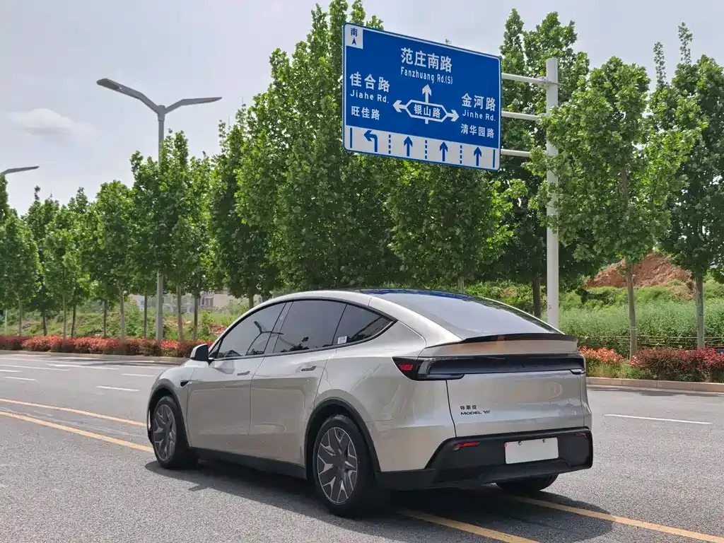 Tesla Model Y L 2025 из CN, фото 8