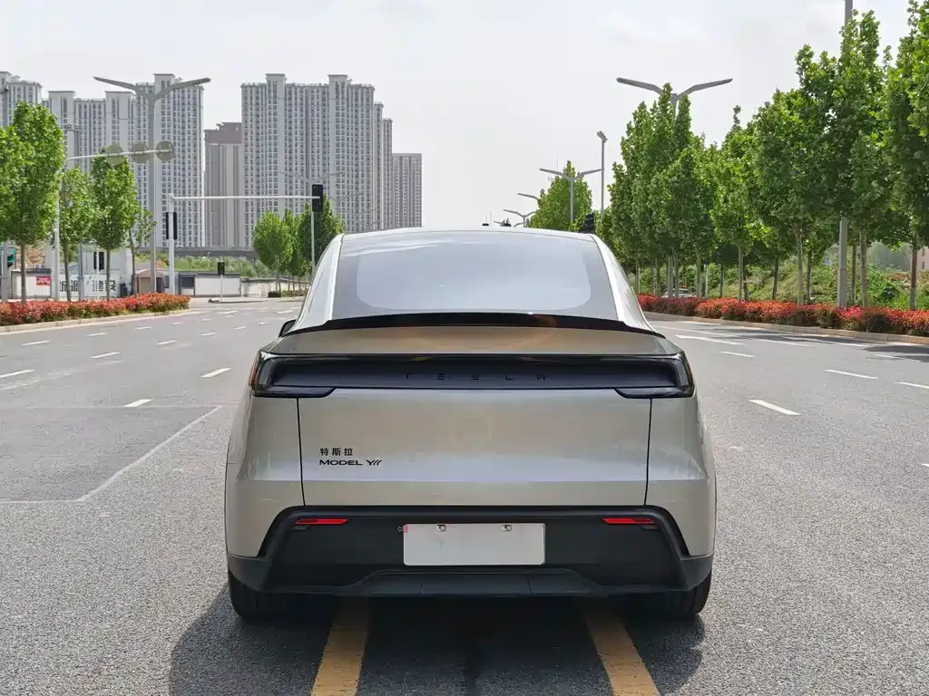 Tesla Model Y L 2025 из CN, фото 9