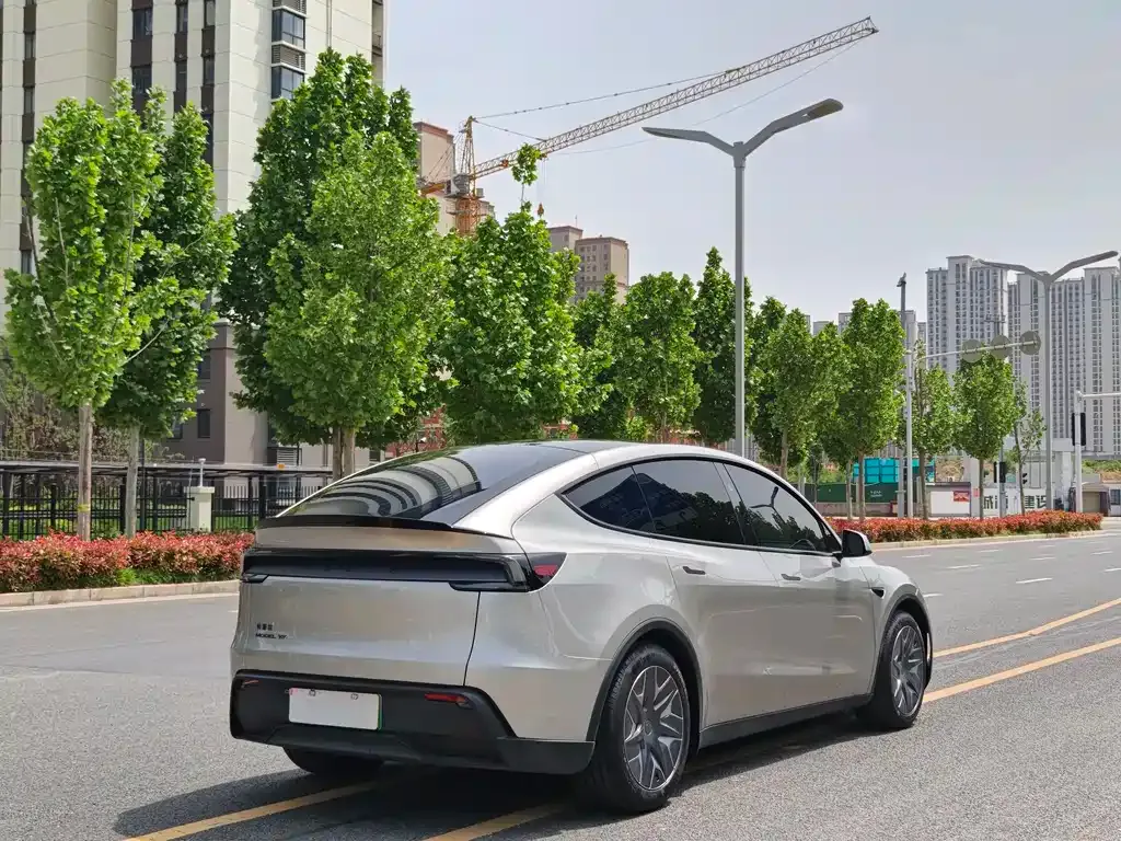 Tesla Model Y L 2025 из CN, фото 7