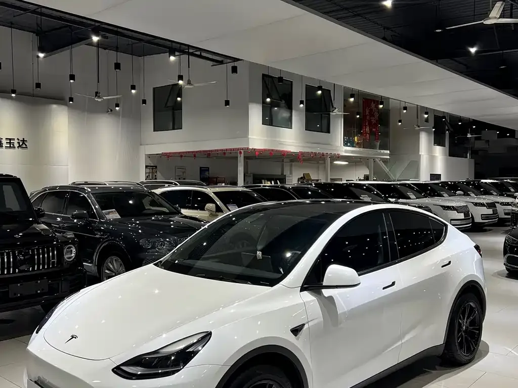 Tesla Model Y — фото 1