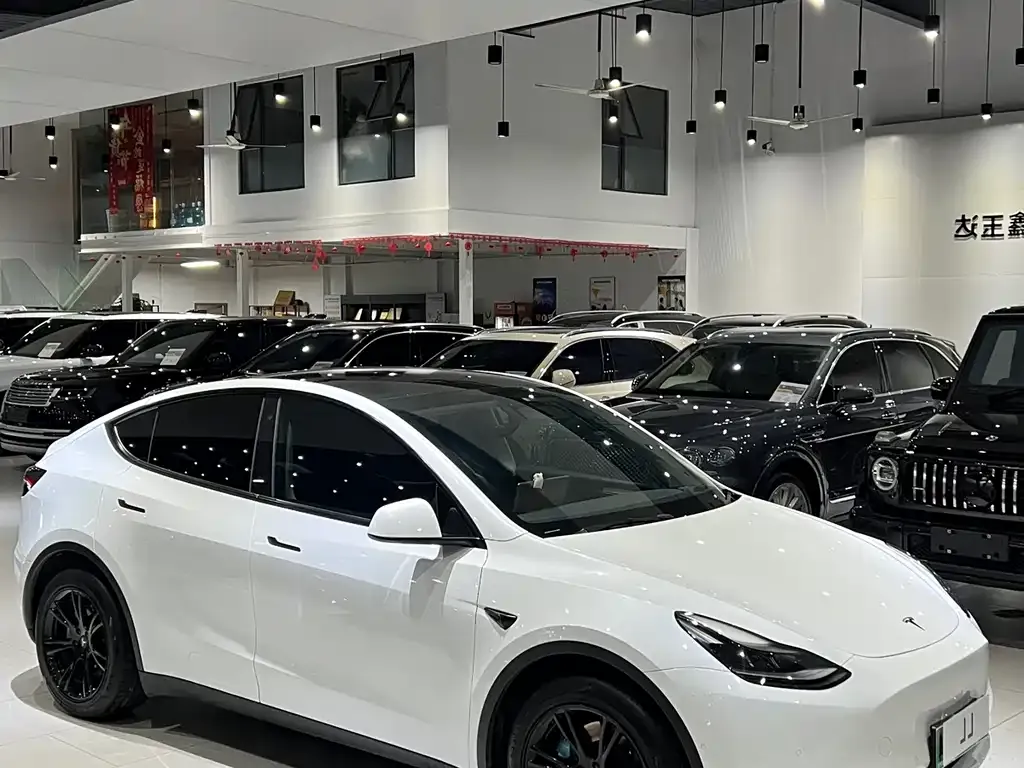 Tesla Model Y — фото 6