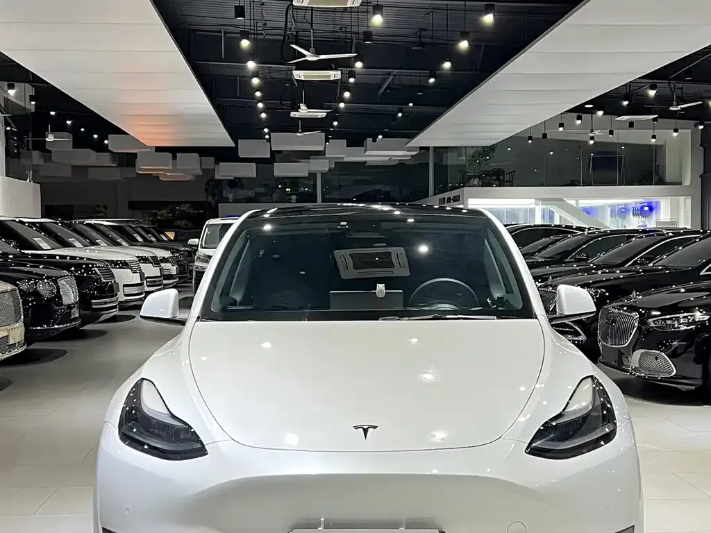 Tesla Model Y — фото 10