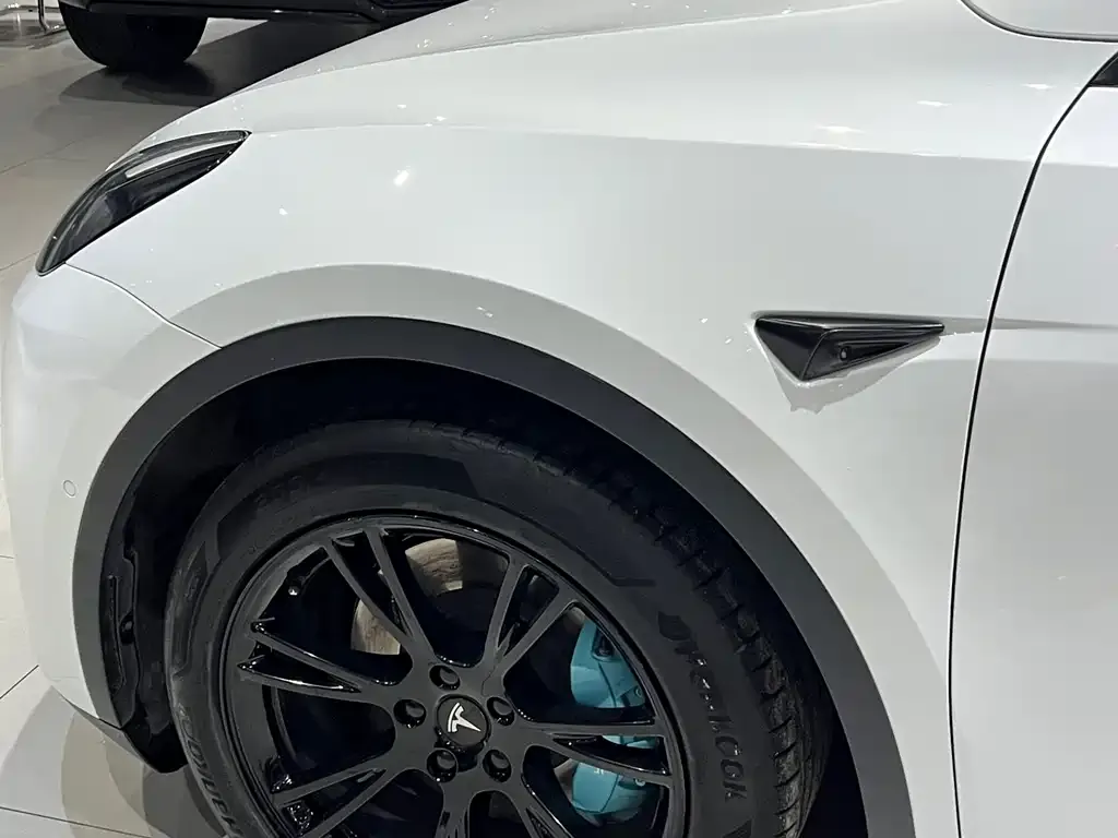 Tesla Model Y — фото 2