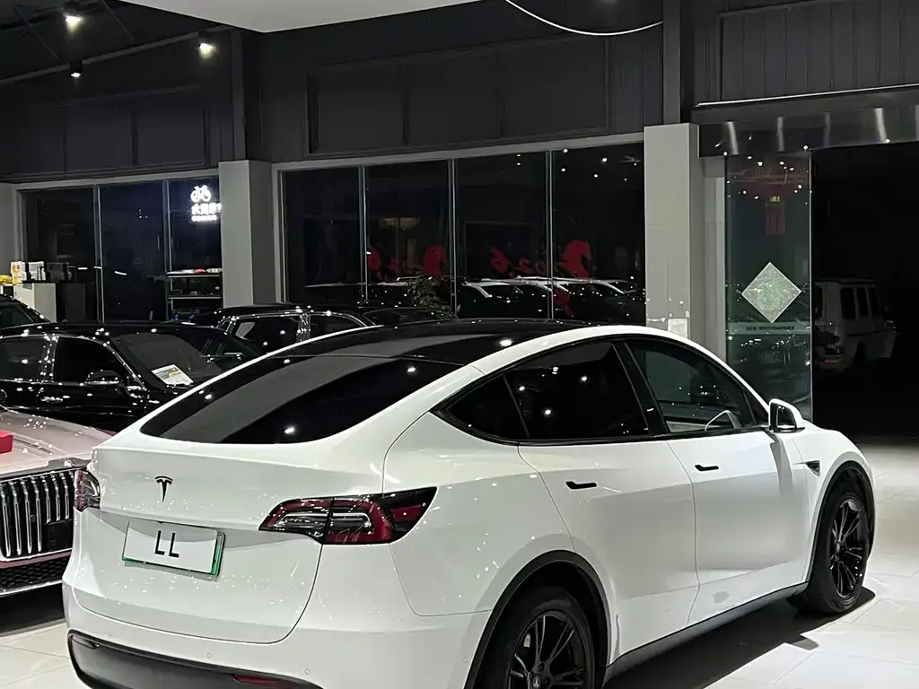 Tesla Model Y — фото 9