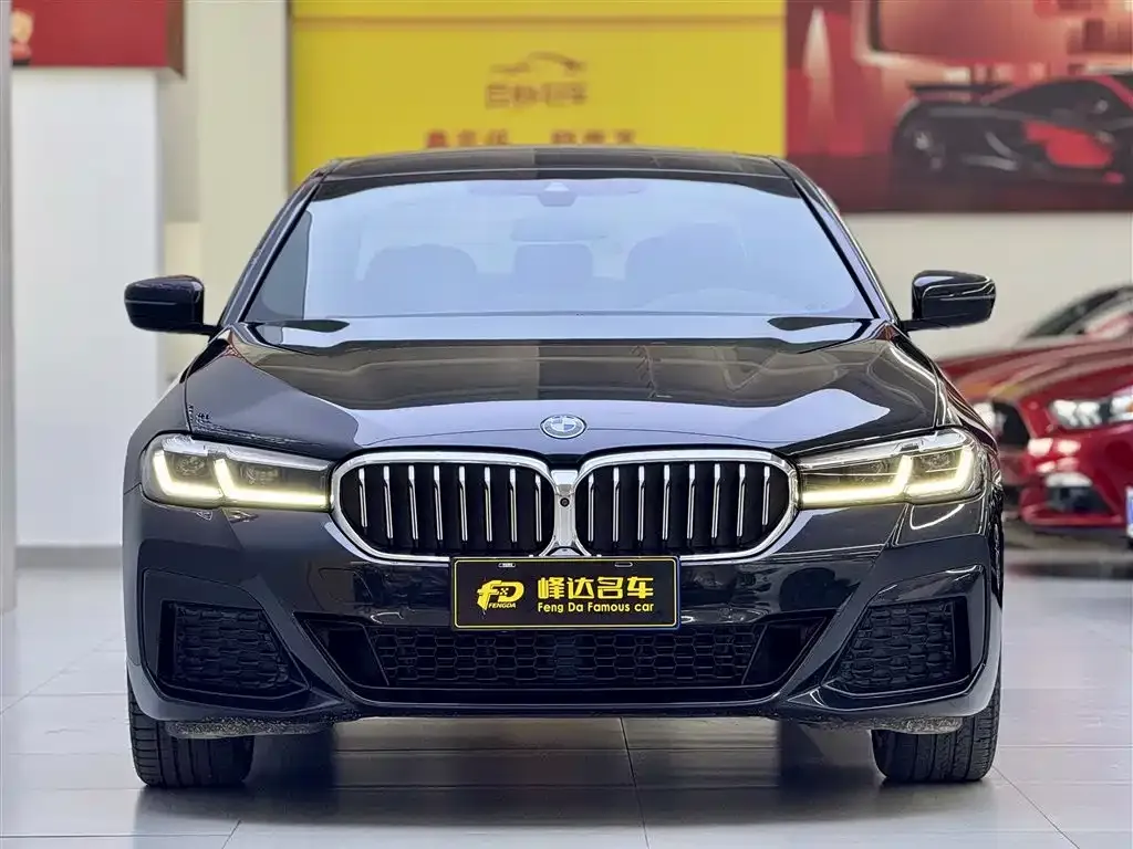 BMW 5 Series 2023 из CN, фото 3