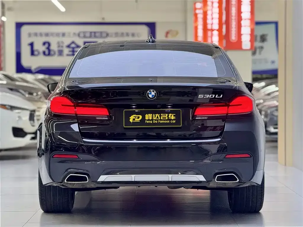 BMW 5 Series 2023 из CN, фото 7
