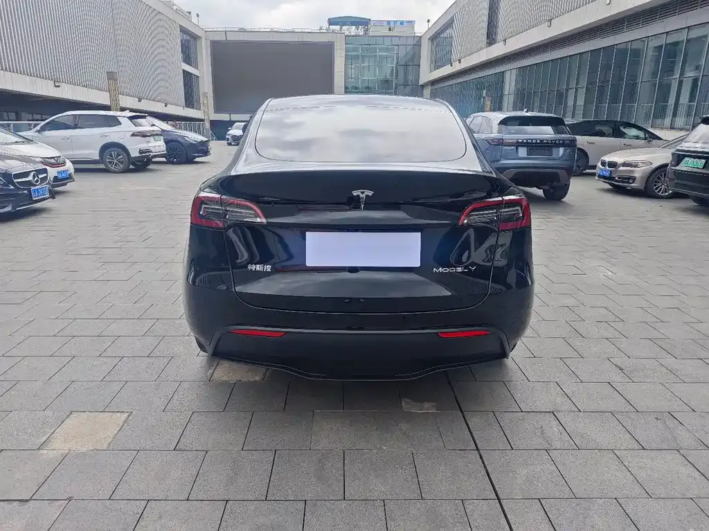 Tesla Model Y — фото 8
