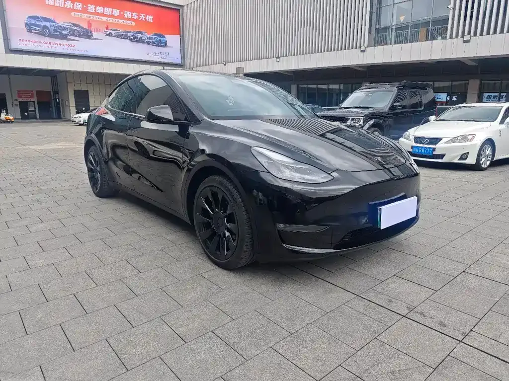 Tesla Model Y — фото 2