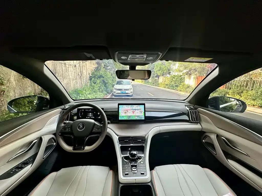 BYD Pro New Energy — фото 2