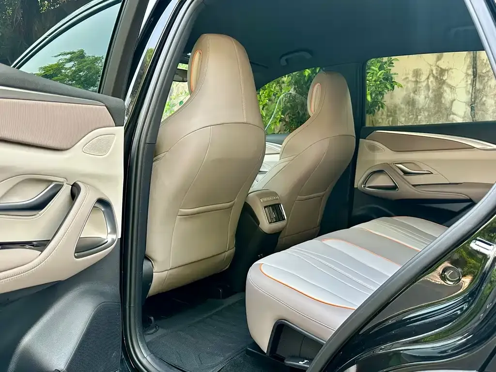 BYD Pro New Energy — фото 4