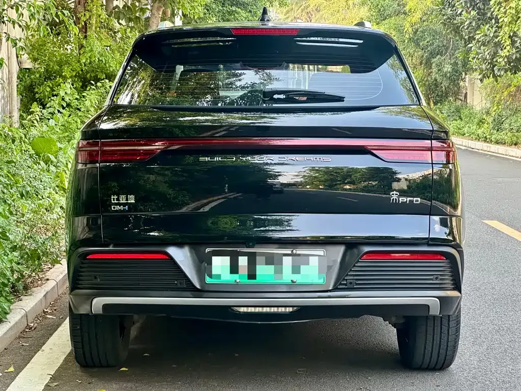 BYD Pro New Energy — фото 6