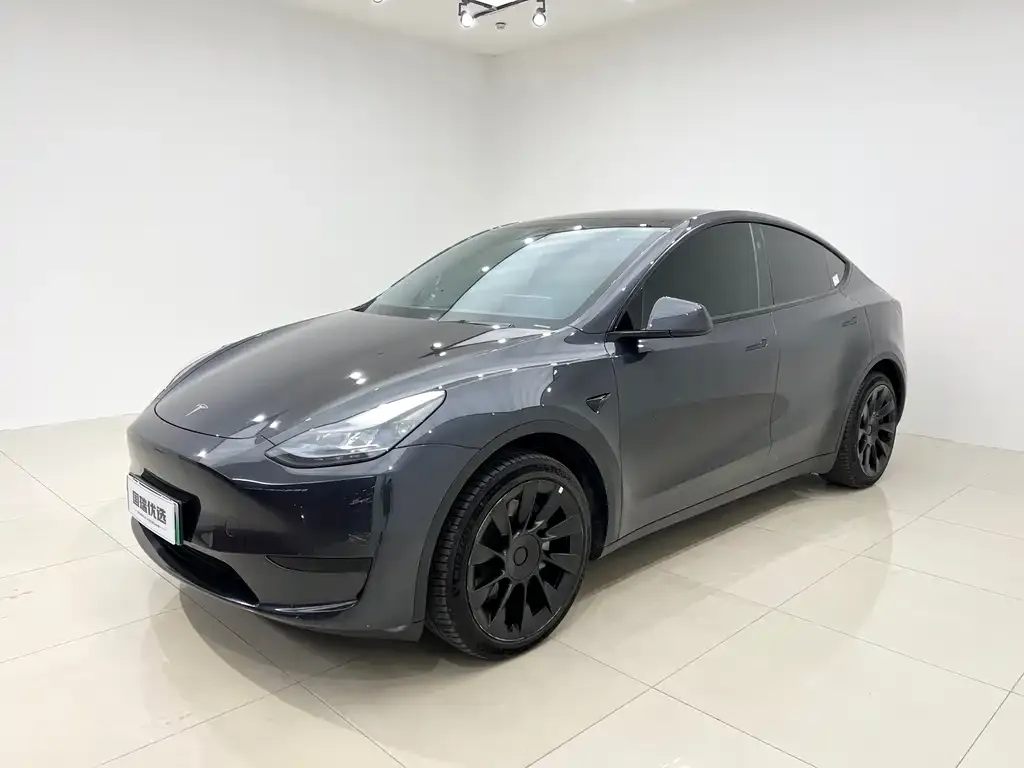 Tesla Model Y — фото 1