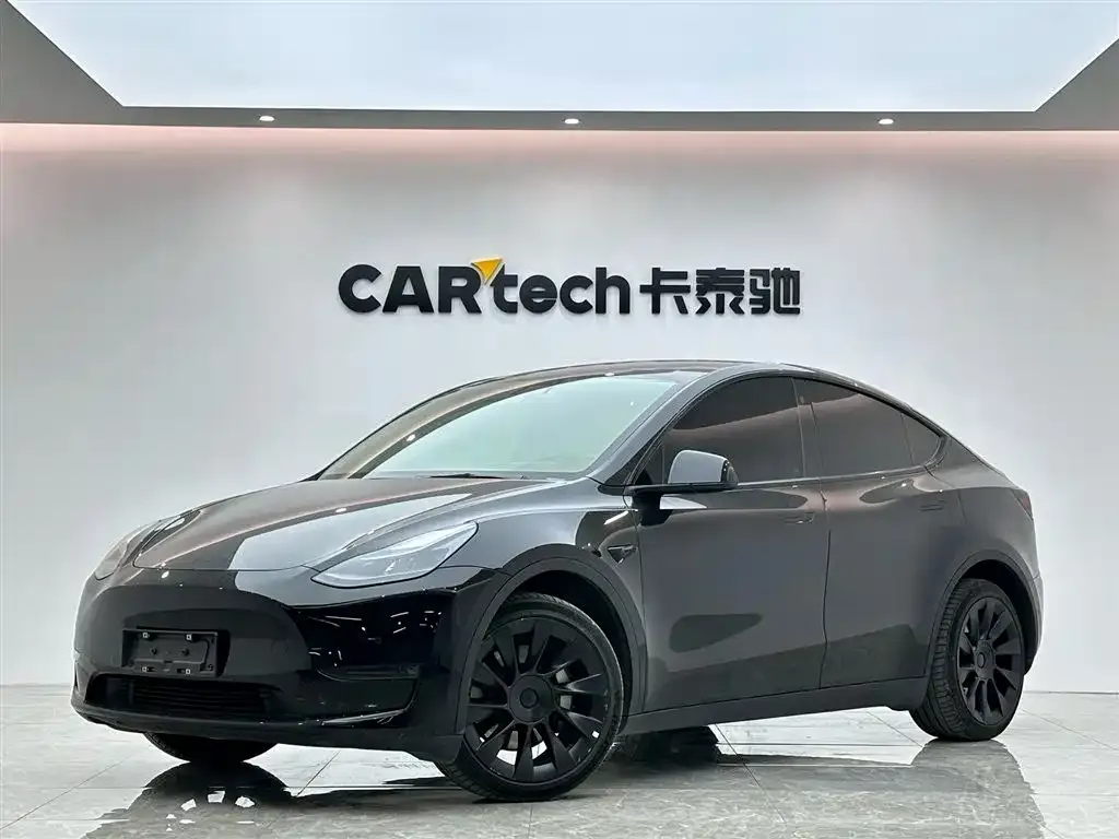 Tesla Model Y — фото 1