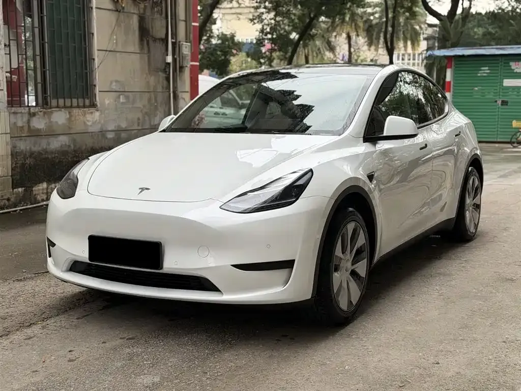 Tesla Model Y 2023 из CN, фото 1