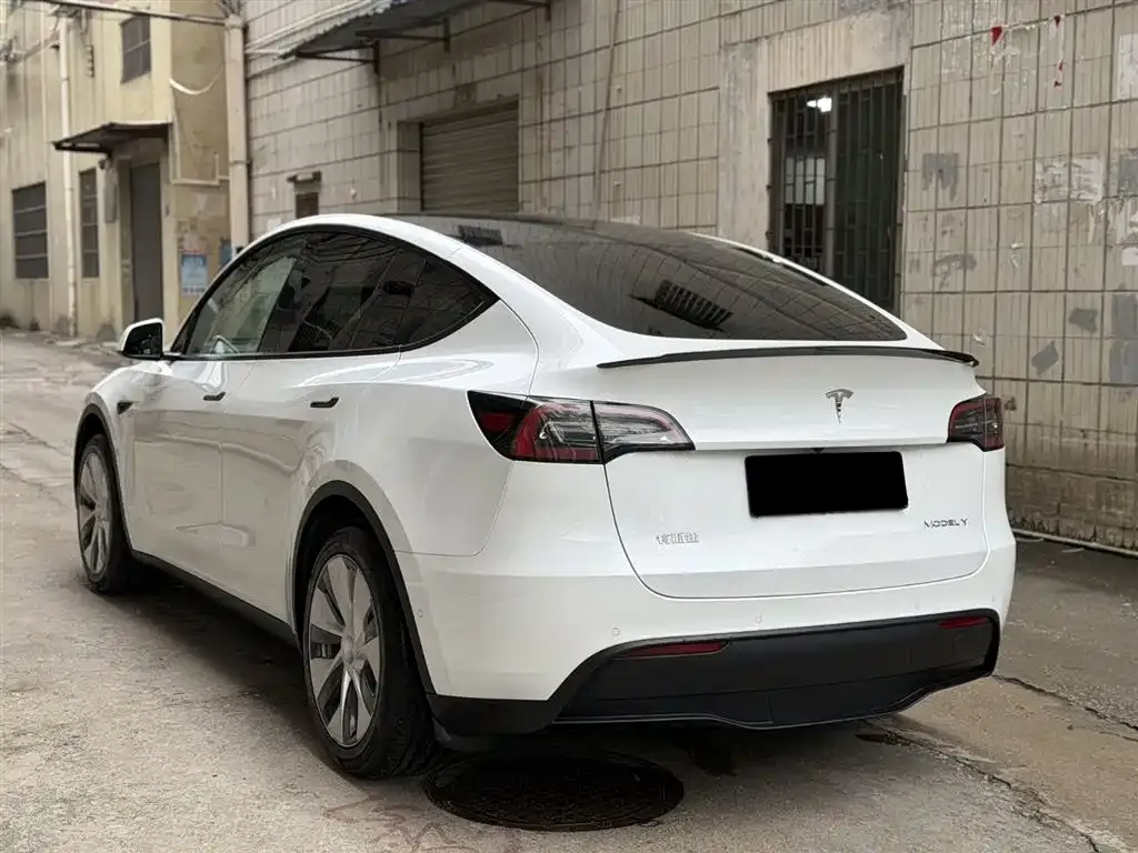 Tesla Model Y 2023 из CN, фото 7