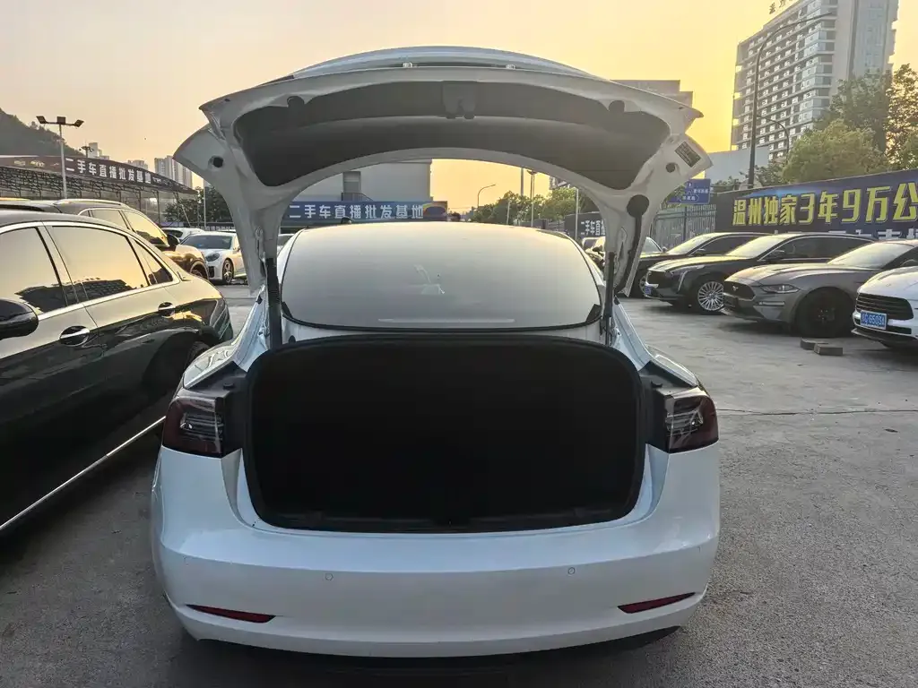 Tesla Model 3 — фото 6