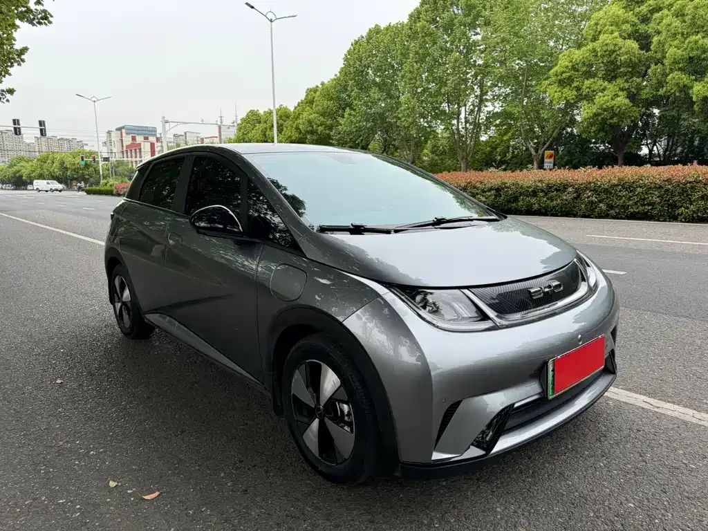 BYD Dolphin 2023 из CN, фото 10