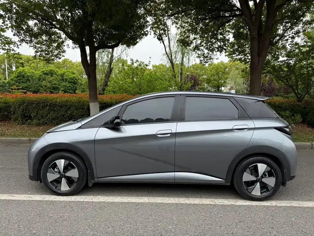 BYD Dolphin 2023 из CN, фото 8