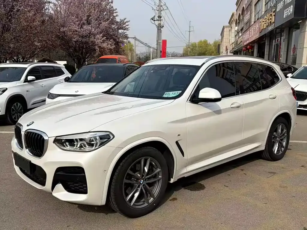 BMW X3 — фото 1