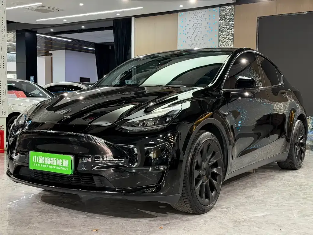 Tesla Model Y — фото 1