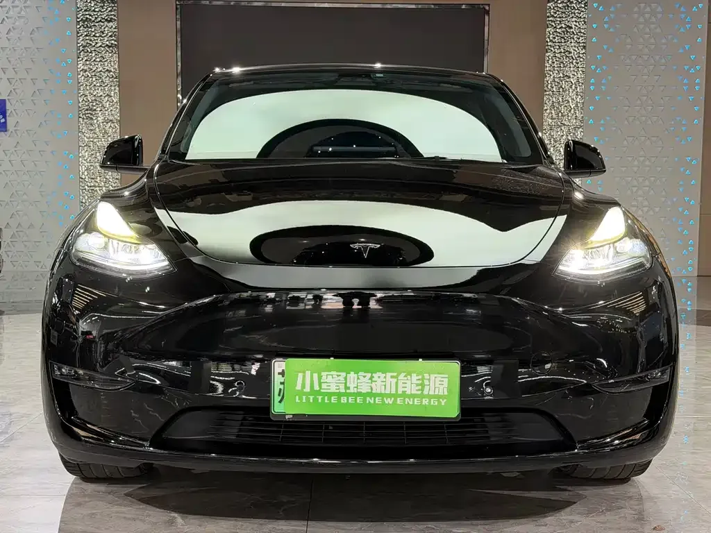 Tesla Model Y — фото 10