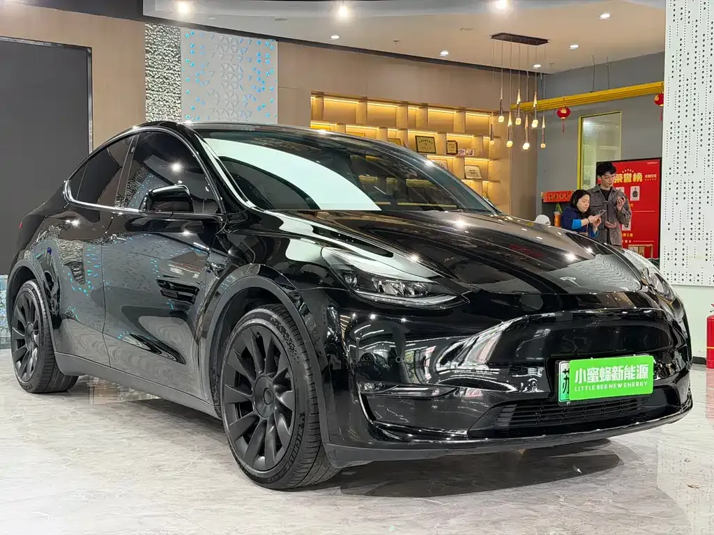 Tesla Model Y — фото 9