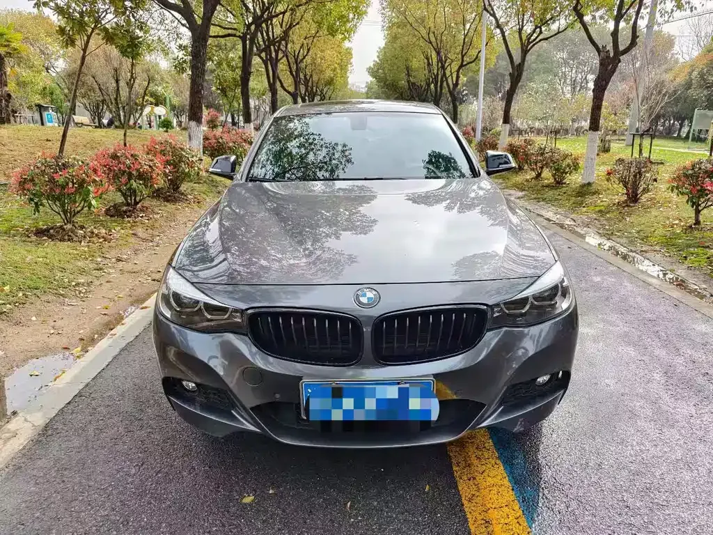 BMW 3 Series GT 2021 из CN, фото 6