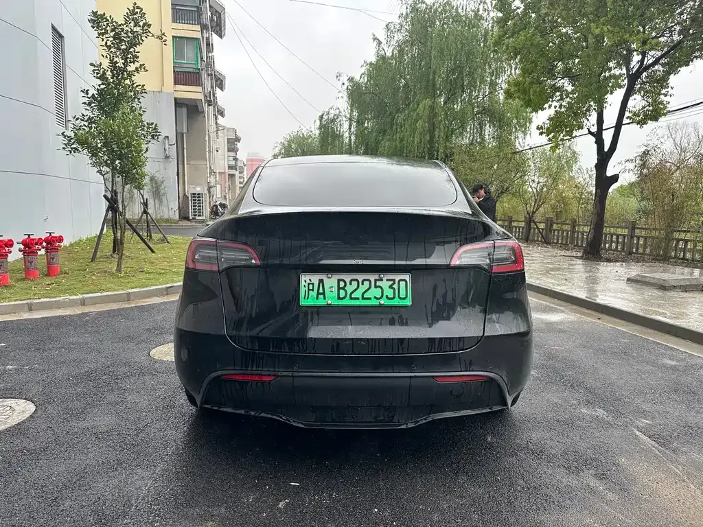 Tesla Model Y 2022 из CN, фото 6