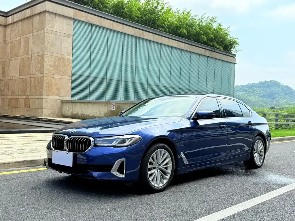 BMW 5 Series New Energy 2021 из CN, фото 1