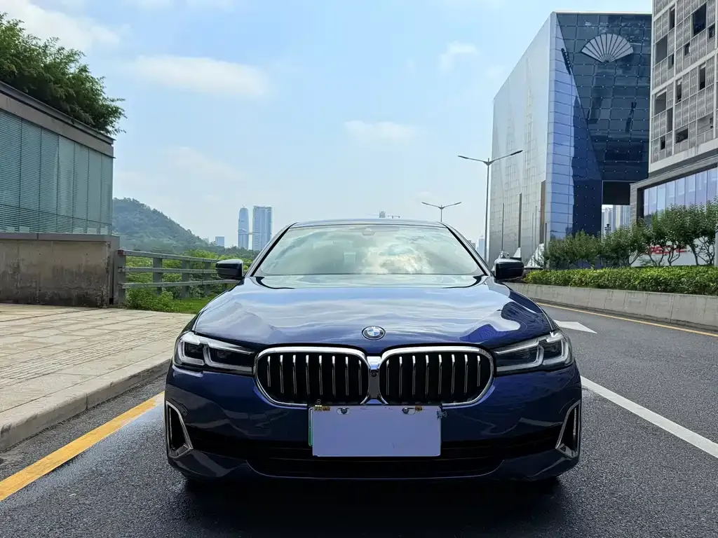 BMW 5 Series New Energy 2021 из CN, фото 4