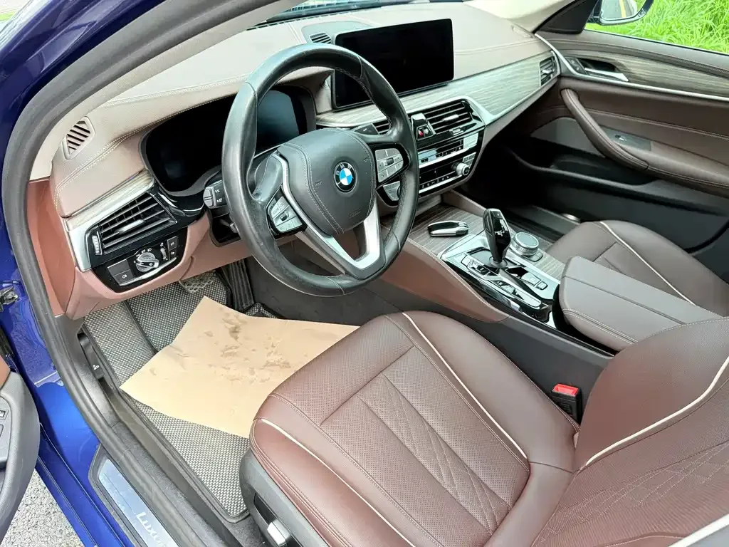 BMW 5 Series New Energy 2021 из CN, фото 7