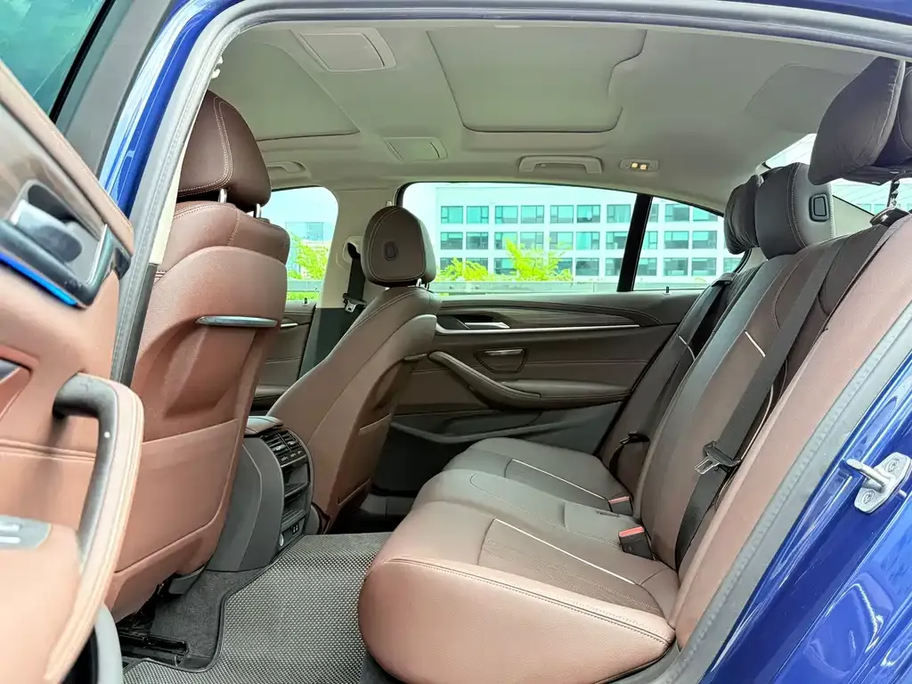 BMW 5 Series New Energy 2021 из CN, фото 6