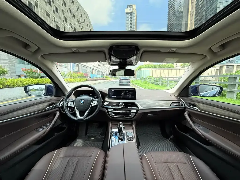 BMW 5 Series New Energy 2021 из CN, фото 8
