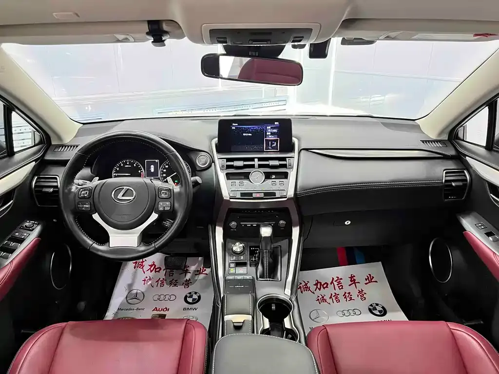 Lexus NX 2021 из CN, фото 5