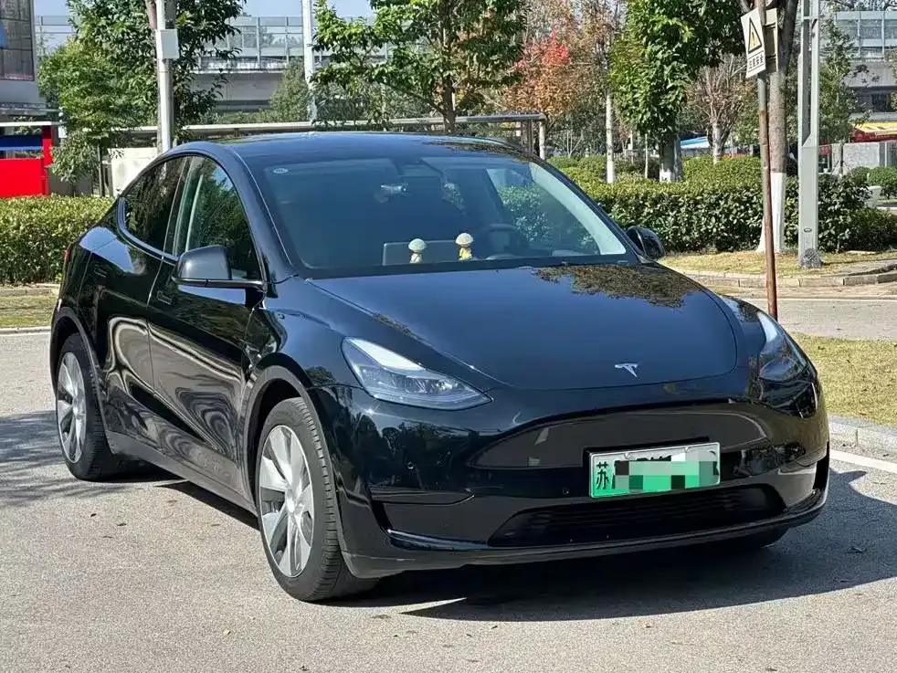 Tesla Model Y — фото 1