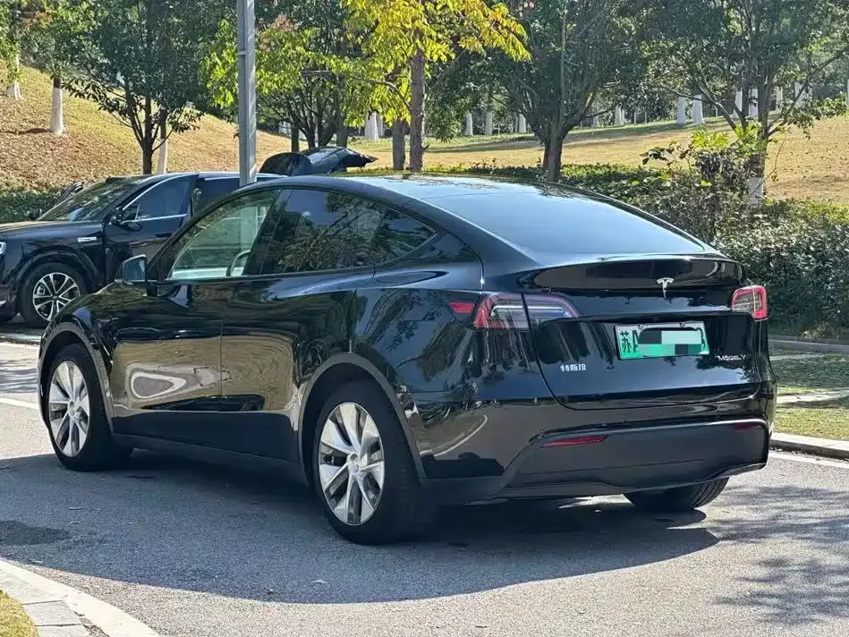 Tesla Model Y — фото 7