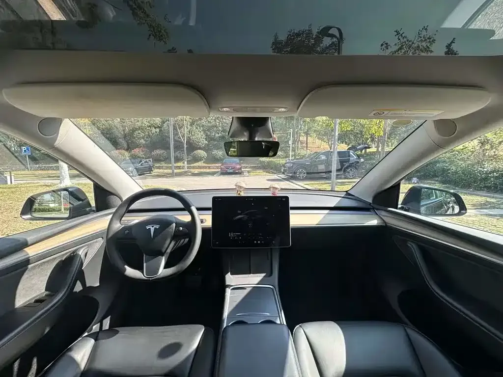 Tesla Model Y — фото 2