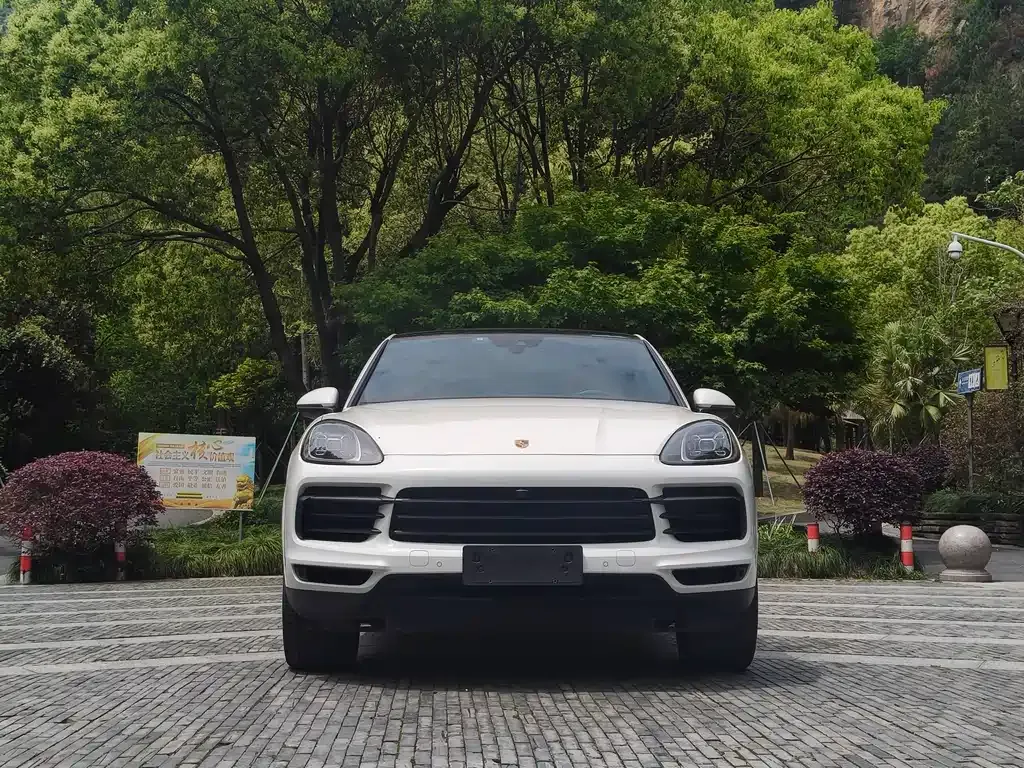 Porsche Cayenne 2022 из CN, фото 6