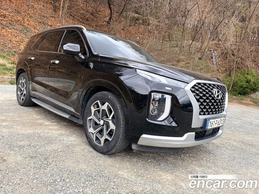 Hyundai Palisade — фото 8