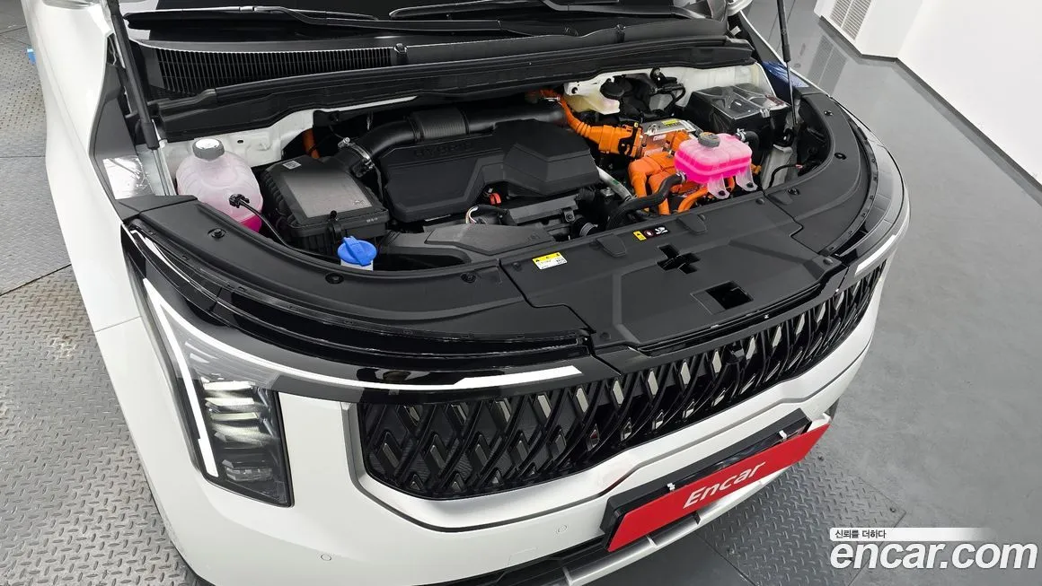 Kia Carnival — фото 10