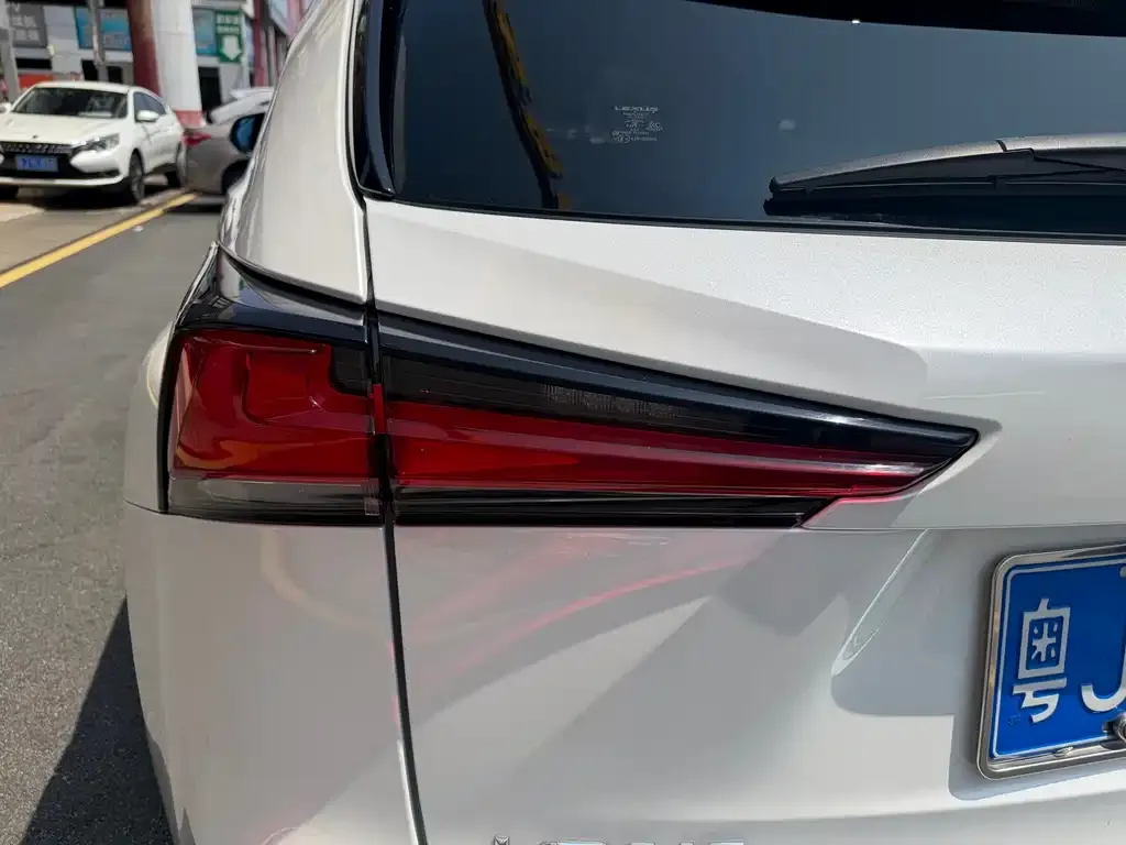 Lexus NX 2021 из CN, фото 2