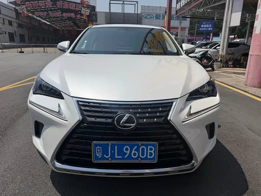 Lexus NX 2021 из CN, фото 4