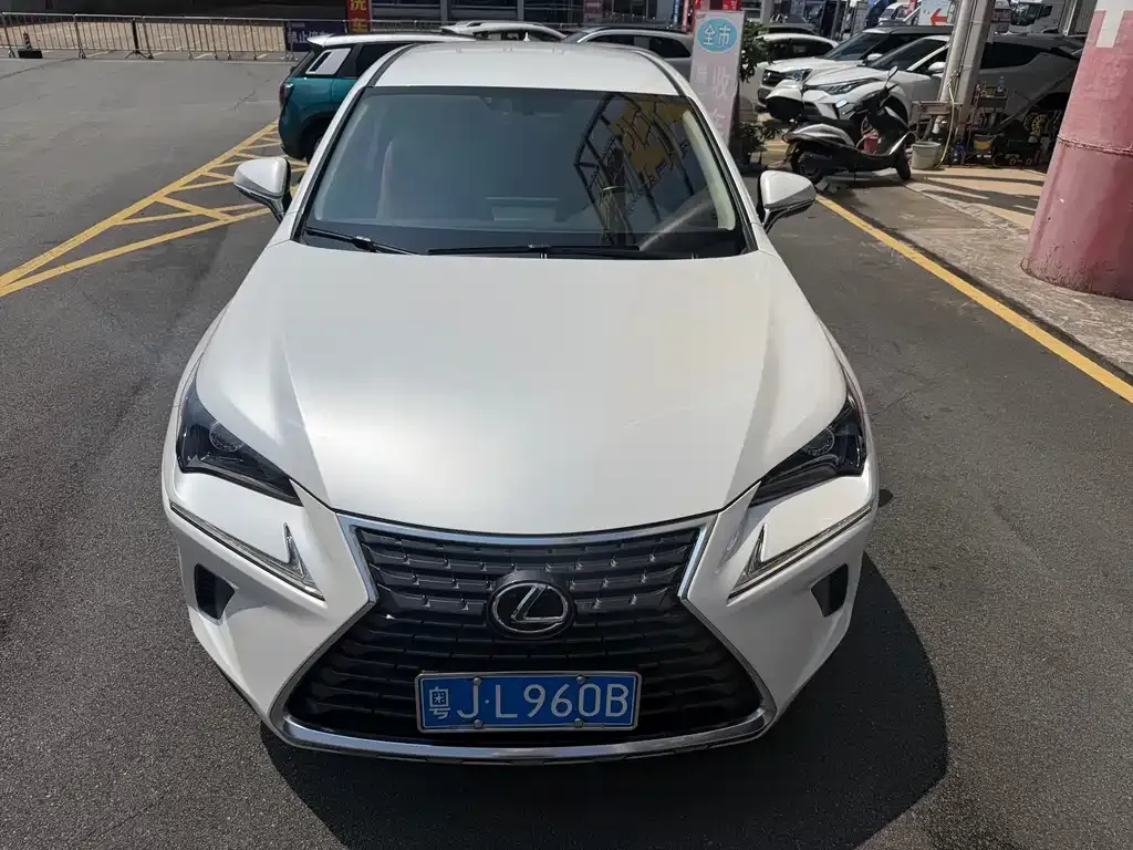 Lexus NX 2021 из CN, фото 5