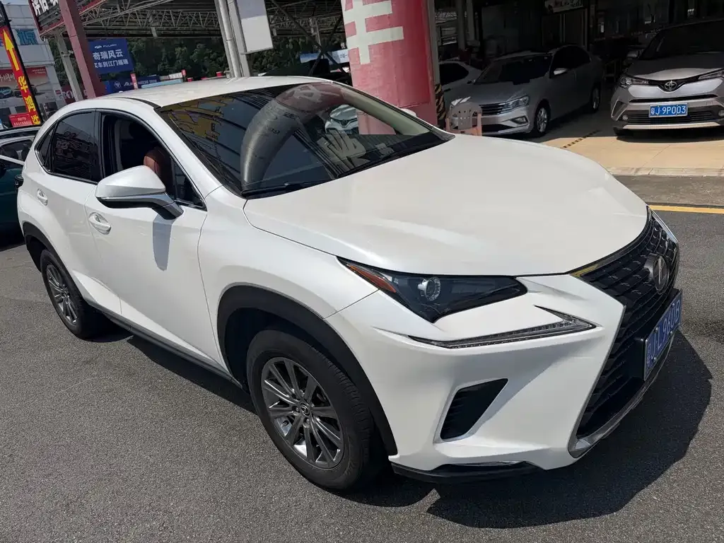 Lexus NX 2021 из CN, фото 10