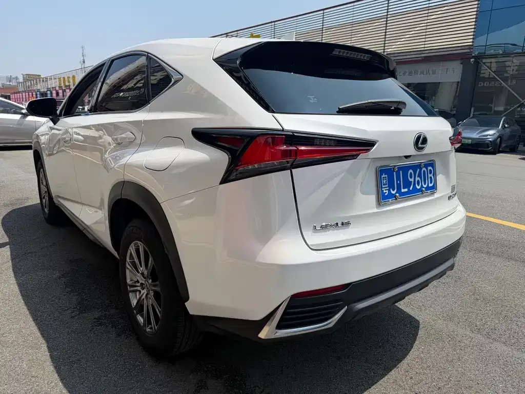 Lexus NX 2021 из CN, фото 6