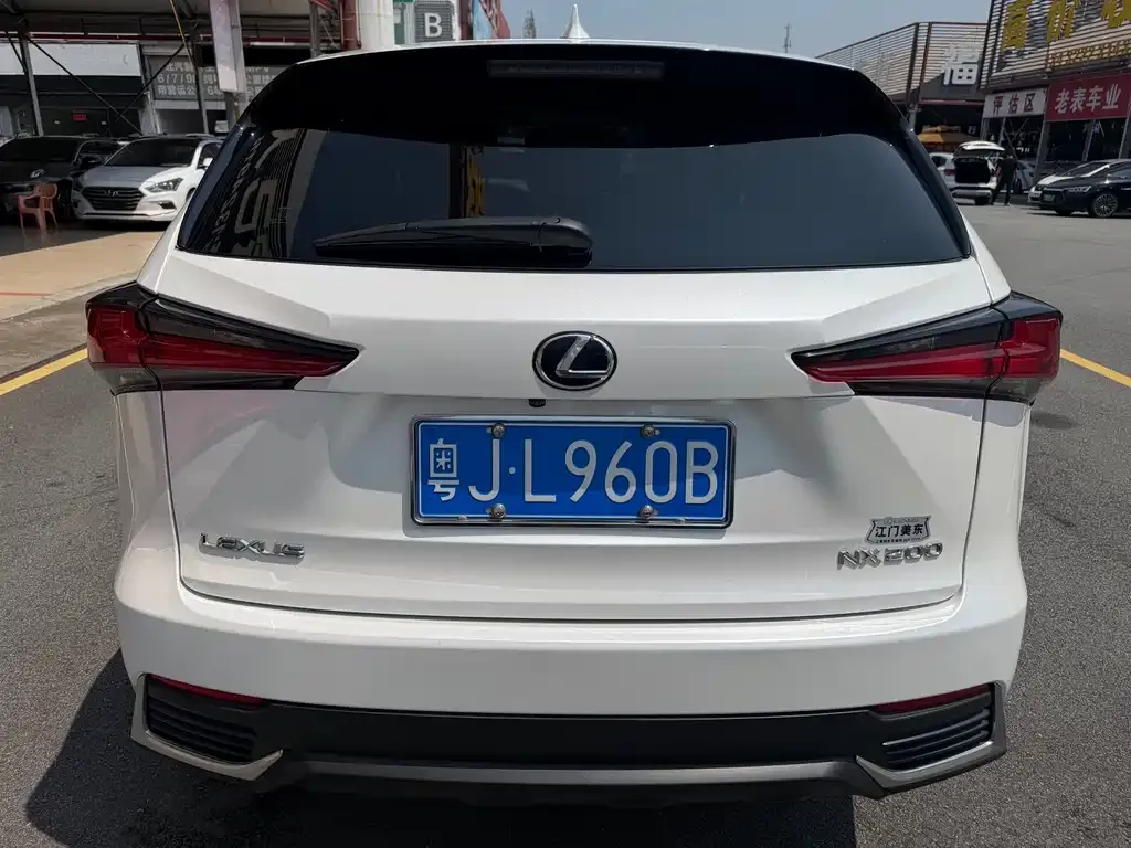 Lexus NX 2021 из CN, фото 9